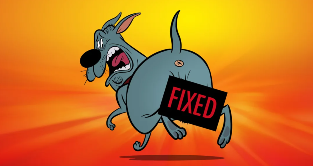 Zdjęcie okładkowe wpisu: Piecho uratowany! Fixed przejęte przez Netflixa