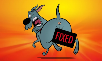 Zdjęcie okładkowe wpisu: Piecho uratowany! Fixed przejęte przez Netflixa