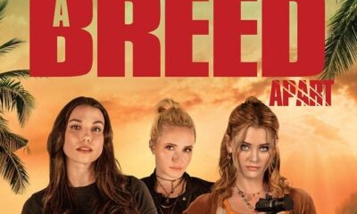 Zdjęcie okładkowe wpisu: Rasa otrzyma nietypowy remake. Będzie meta-twist