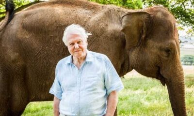 Zdjęcie okładkowe wpisu: BBC Earth świętuje 99. urodziny sir Davida Attenborough