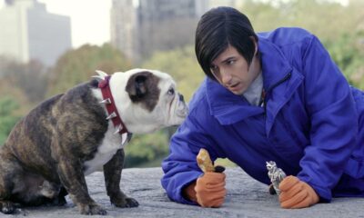 Zdjęcie okładkowe wpisu: Powstanie kolejny sequel komedii Adama Sandlera? Reżyser Happy Gilmore 2 myśli o filmie Mały Nicky 2