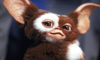 Zdjęcie okładkowe wpisu: Gremliny znów narozrabiają? Gotowy scenariusz czeka na akceptację Stevena Spielberga