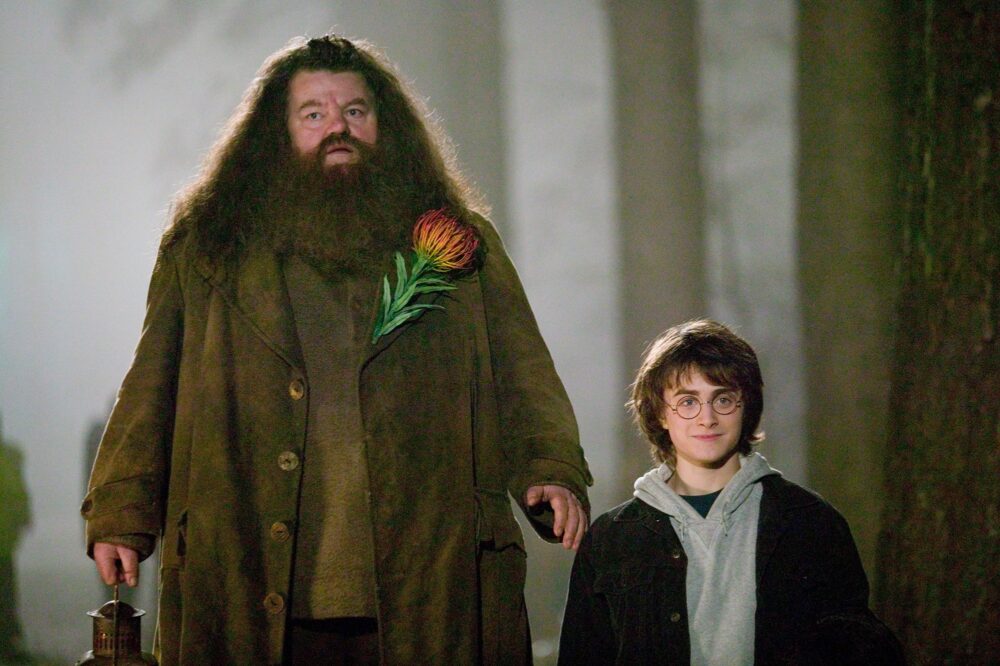Zdjęcie okładkowe wpisu: Tak prezentuje się Nick Frost jako Hagrid w nowym Harrym Potterze!