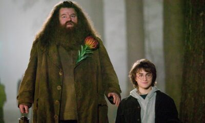 Zdjęcie okładkowe wpisu: Tak prezentuje się Nick Frost jako Hagrid w nowym Harrym Potterze!