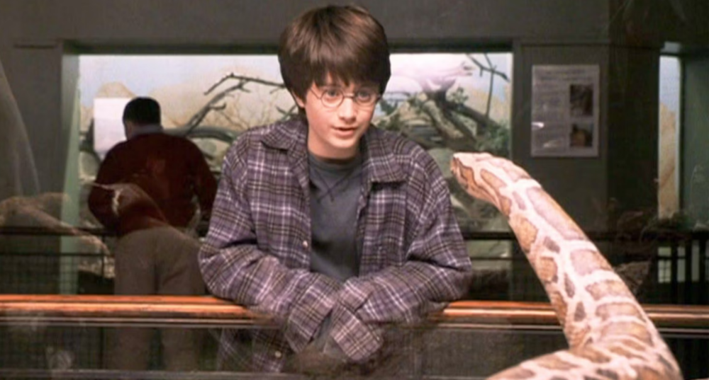 Zdjęcie okładkowe wpisu: Harry Potter uchwycony w zoo! Pierwsze zdjęcia z planu trafiły do sieci