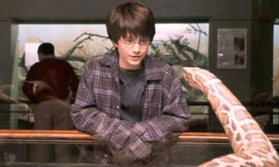 Zdjęcie okładkowe wpisu: Harry Potter uchwycony w zoo! Pierwsze zdjęcia z planu trafiły do sieci