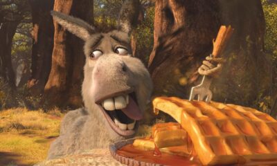 Zdjęcie okładkowe wpisu: Ja chcę jeszcze raz! Powstanie spin-off Shreka skupiający się na Ośle