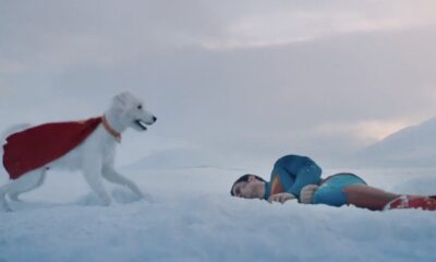 Zdjęcie okładkowe wpisu: Kontrowersyjna scena z Krypto wycięta z filmu Superman po testowych pokazach