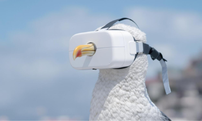 Zdjęcie okładkowe wpisu: Model FLUX.1 Kontext dostępny od teraz jako mikrousługa NVIDIA NIM