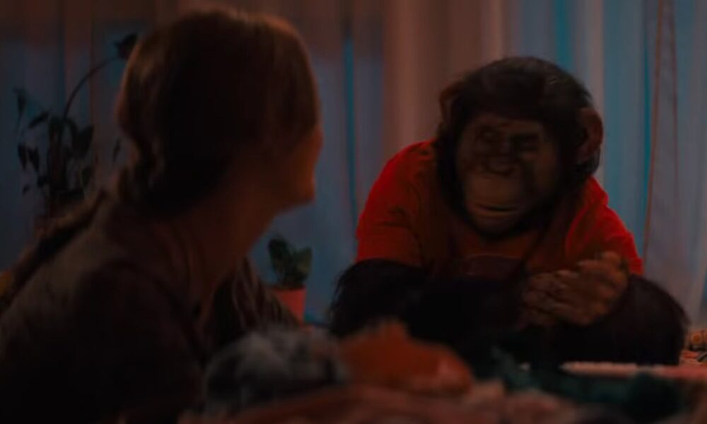 Zdjęcie okładkowe wpisu: Strzeżcie się szympansa! Zobaczcie pierwszy zwiastun horror u Primate