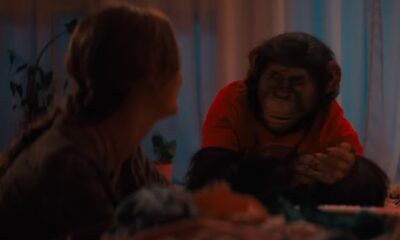 Zdjęcie okładkowe wpisu: Strzeżcie się szympansa! Zobaczcie pierwszy zwiastun horror u Primate