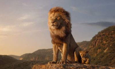 Zdjęcie okładkowe wpisu: Król Lew powróci z kolejną częścią? Disney rozważa nowy film z dochodowej franczyzy