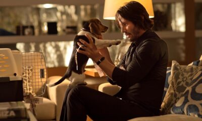 Zdjęcie okładkowe wpisu: Keanu Reeves połączy siły z Timem Millerem. Aktor zagra w filmie Shiver