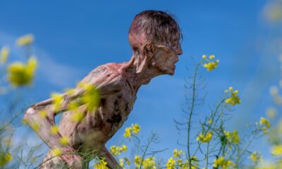 Zdjęcie okładkowe wpisu: Kolejna część 28 lat później zatwierdzona. Cillian Murphy negocjuje występ w filmie