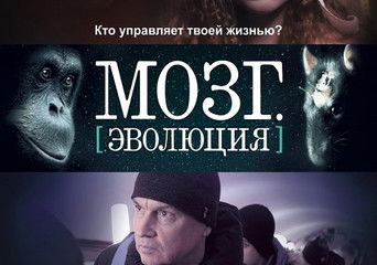 Zdjęcie okładkowe wpisu: Мозг. Эволюция