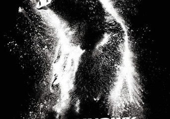 Zdjęcie okładkowe wpisu: Kokainowy miś