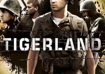 Zdjęcie okładkowe wpisu: Kraina Tygrysów