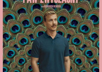 Zdjęcie okładkowe wpisu: Paw zwyczajny