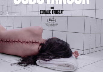 Zdjęcie okładkowe wpisu: Substancja